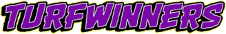 turf winners